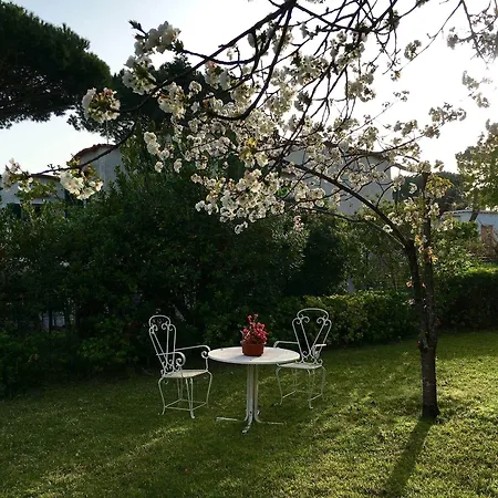 Konukevi Quinta Maria 3*
