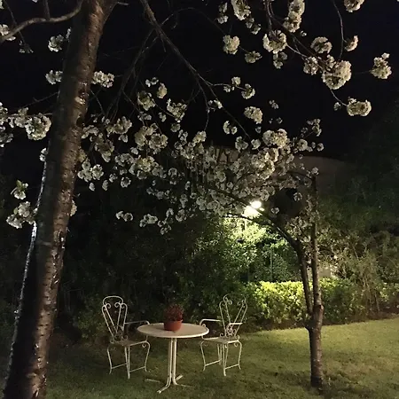 Konukevi Quinta Maria Ischia