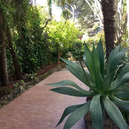 Quinta Maria Konukevi