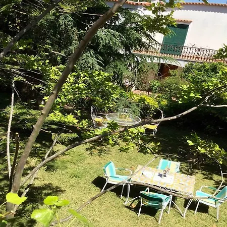Quinta Maria Konukevi